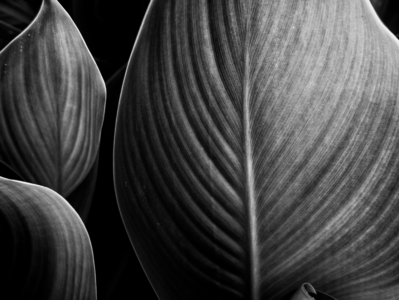 f:id:digistill:20140721211828j:plain