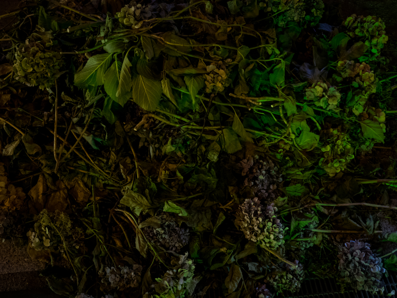 f:id:digistill:20140723211752j:plain