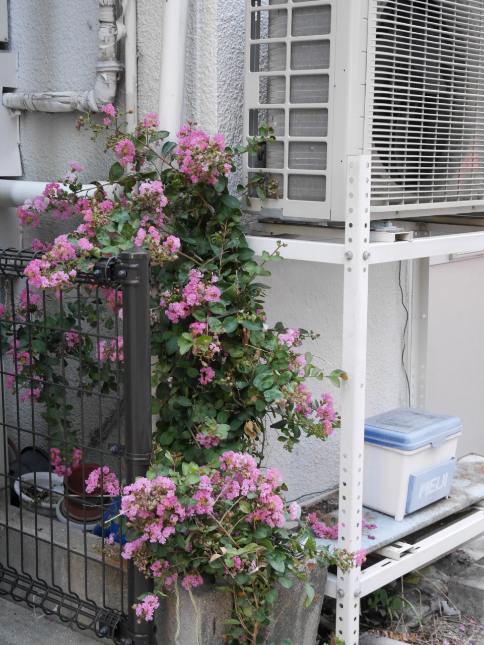 f:id:digistill:20140731224702j:plain