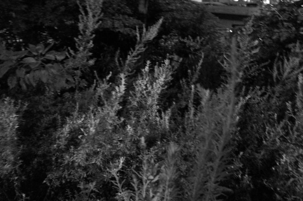 f:id:digistill:20140808210923j:plain