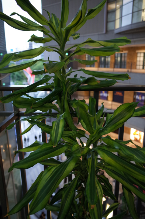 f:id:digistill:20141005211453j:plain