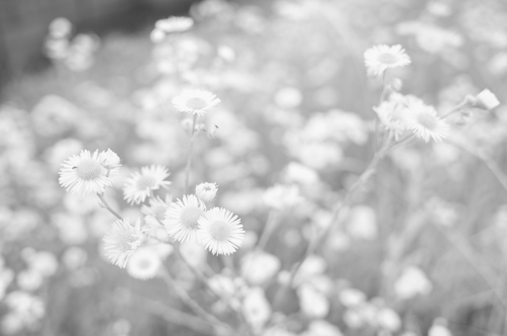 f:id:digistill:20150612202955j:plain