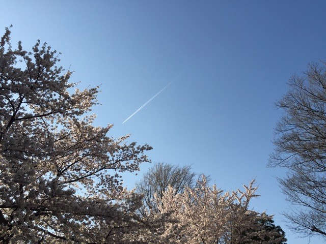 f:id:dji:20150331185637j:plain f:id:dji:20150331185637j:plain