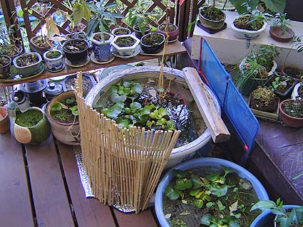 f:id:dk_hanaya:20061203114519j:plain