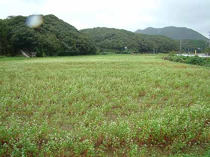 f:id:dk_hanaya:20070923143439j:plain f:id:dk_hanaya:20070923143439j:plain