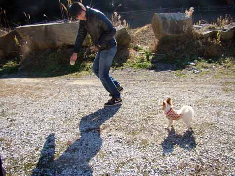 f:id:dk_hanaya:20090103125652j:plain f:id:dk_hanaya:20090103125652j:plain