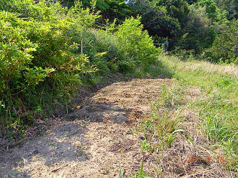 f:id:dk_hanaya:20110518093830j:plain