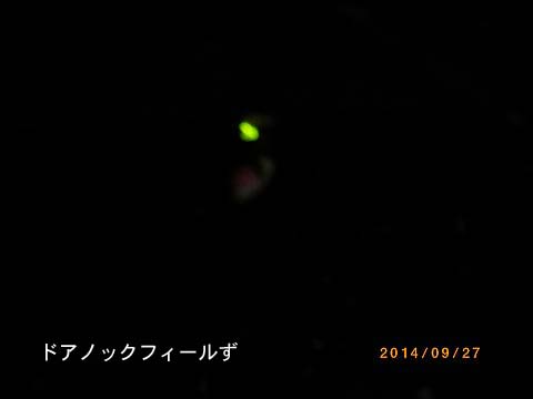 f:id:dk_hanaya:20140927190847j:plain f:id:dk_hanaya:20140927190847j:plain
