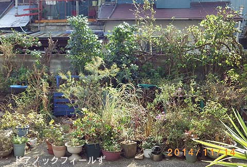 f:id:dk_hanaya:20141114140408j:plain f:id:dk_hanaya:20141114140408j:plain