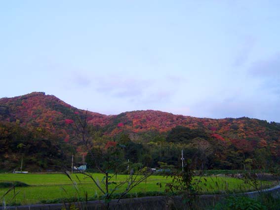 f:id:dk_hanaya:20141116083624j:plain f:id:dk_hanaya:20141116083624j:plain