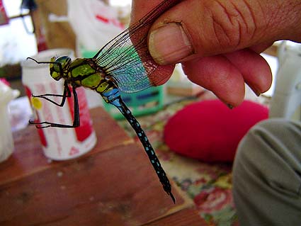 f:id:dk_hanaya:20150104135326j:plain