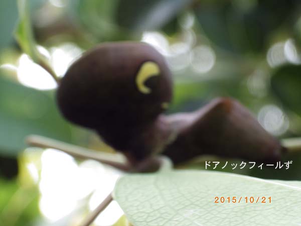 f:id:dk_hanaya:20151021105527j:plain f:id:dk_hanaya:20151021105527j:plain
