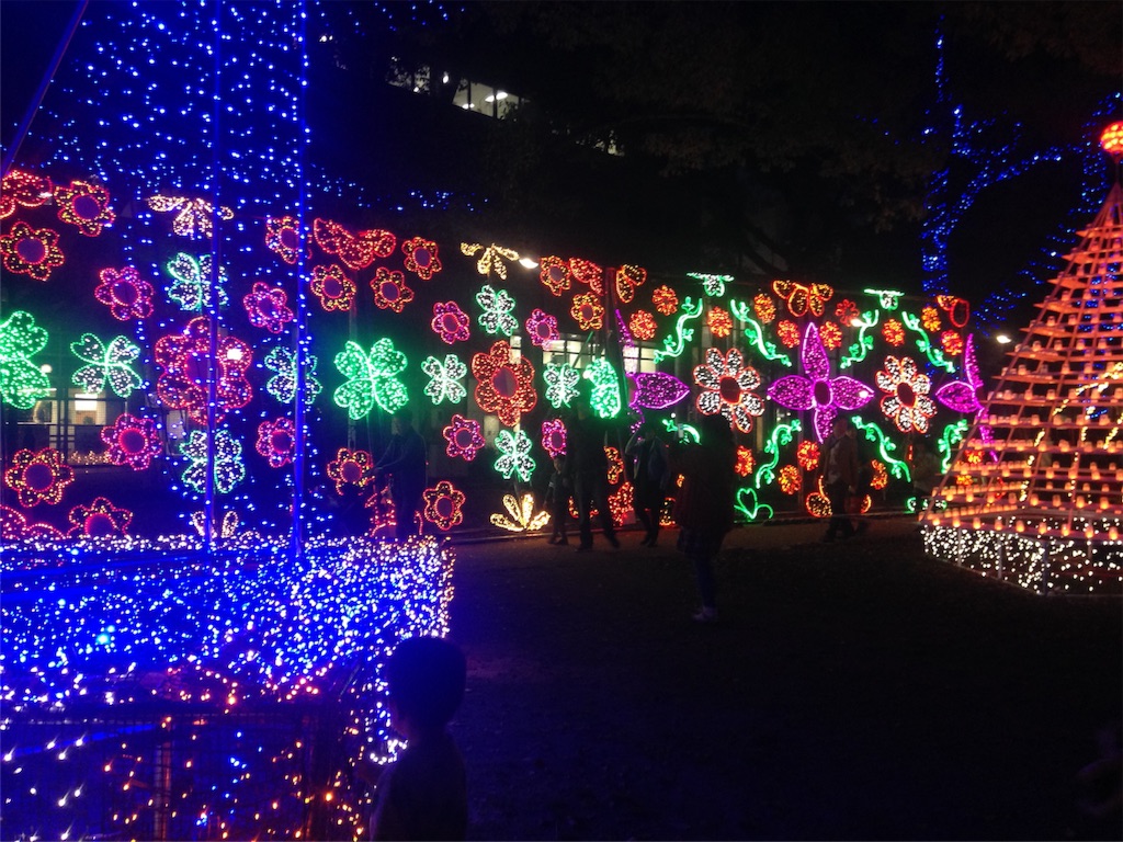 f:id:dmin:20151122095413j:image f:id:dmin:20151122095413j:image