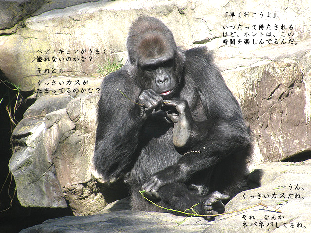 f:id:do-demo-e-jump:20140630195529j:plain f:id:do-demo-e-jump:20140630195529j:plain