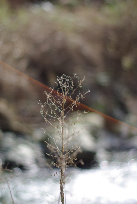 f:id:dobonkai:20090310131942j:plain