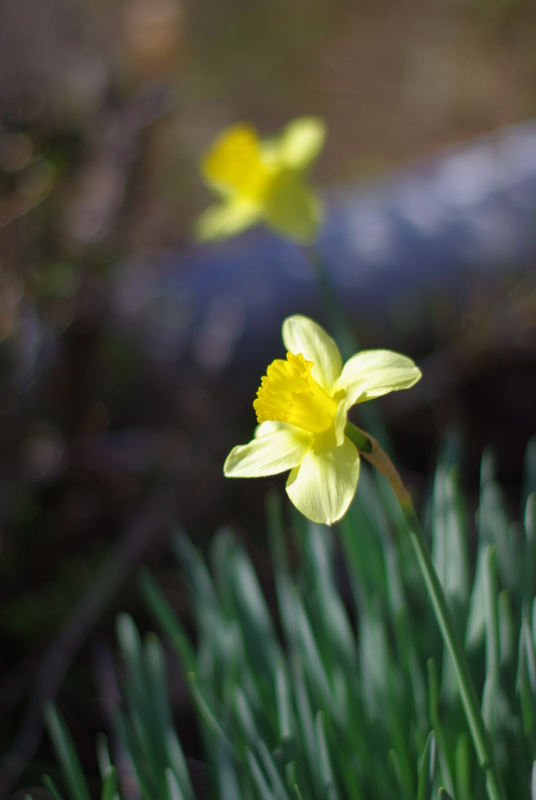 f:id:dobonkai:20090310144733j:plain