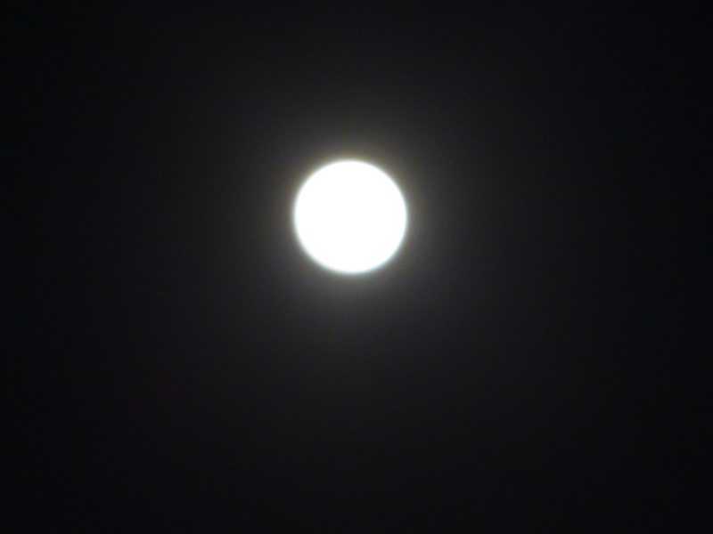 f:id:doconoko:20141008175904j:plain f:id:doconoko:20141008175904j:plain