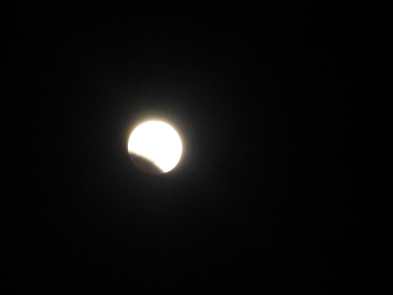 f:id:doconoko:20141008183214j:plain f:id:doconoko:20141008183214j:plain