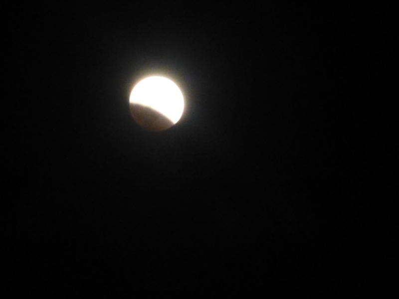 f:id:doconoko:20141008184301j:plain f:id:doconoko:20141008184301j:plain