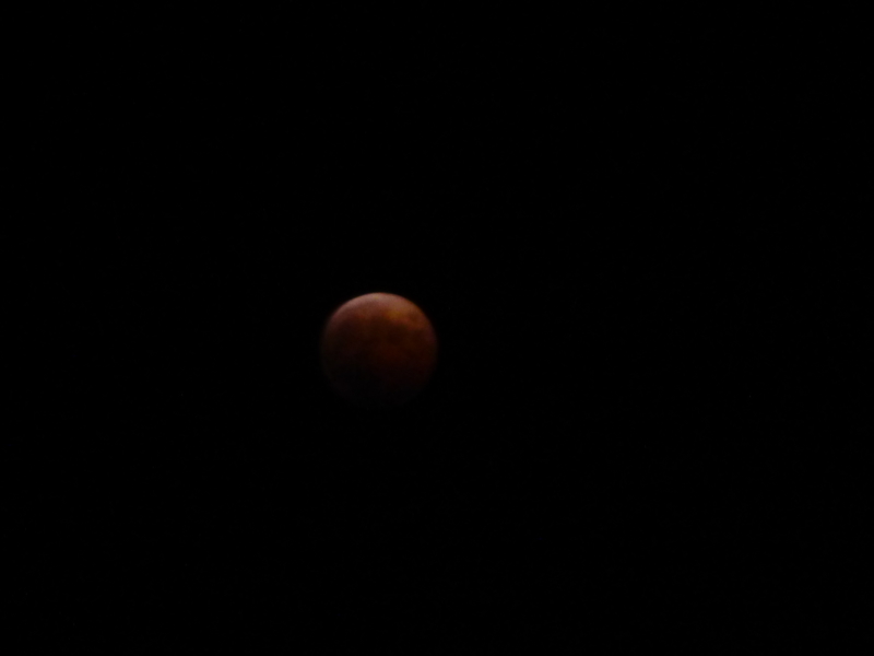 f:id:doconoko:20141008193337j:plain f:id:doconoko:20141008193337j:plain