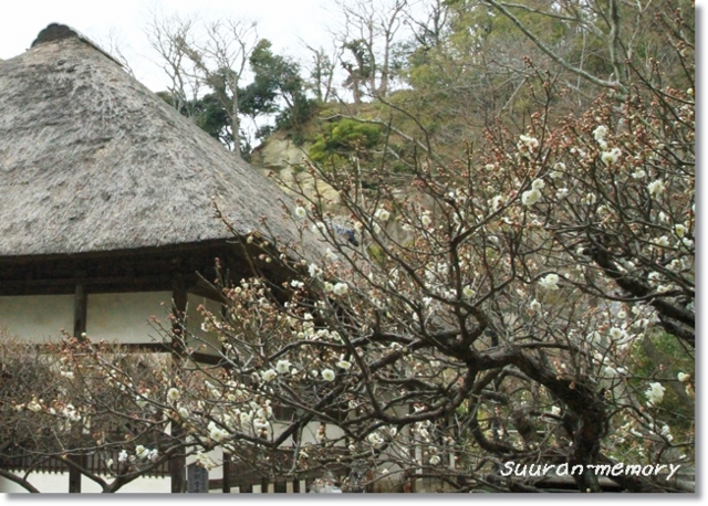 f:id:dogaroma:20130218114300j:plain f:id:dogaroma:20130218114300j:plain