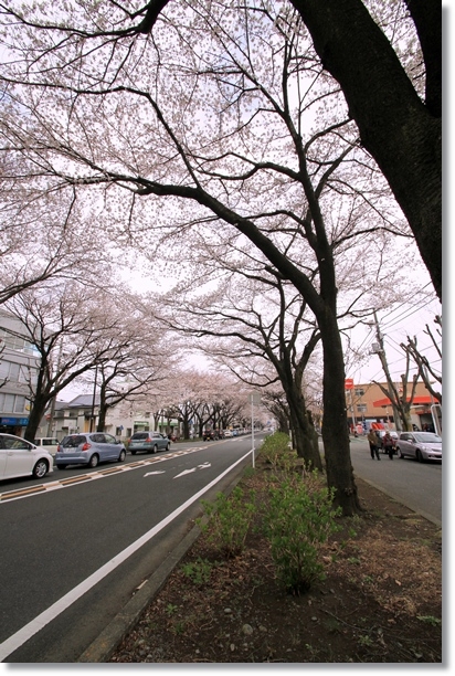 f:id:dogaroma:20130324224211j:plain f:id:dogaroma:20130324224211j:plain