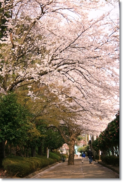 f:id:dogaroma:20130401182557j:plain f:id:dogaroma:20130401182557j:plain