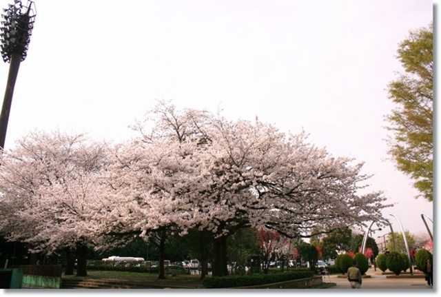 f:id:dogaroma:20130401182613j:plain f:id:dogaroma:20130401182613j:plain