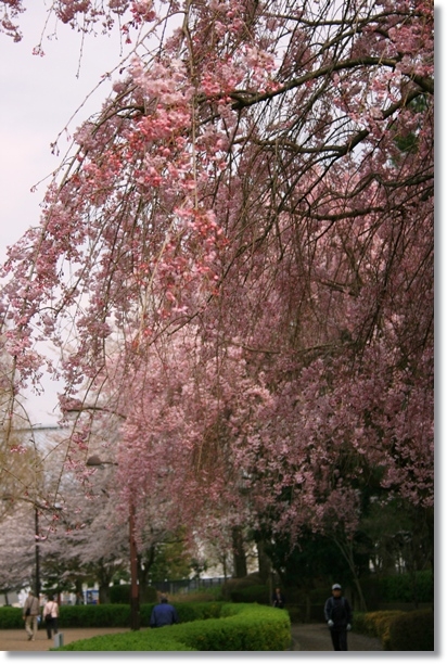 f:id:dogaroma:20130401182630j:plain f:id:dogaroma:20130401182630j:plain