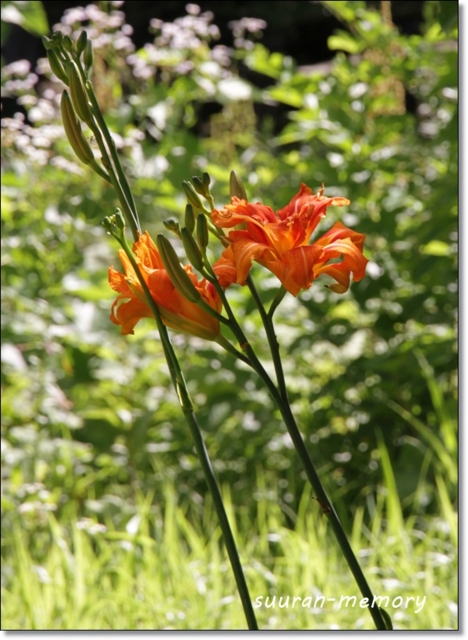 f:id:dogaroma:20130730191337j:plain f:id:dogaroma:20130730191337j:plain