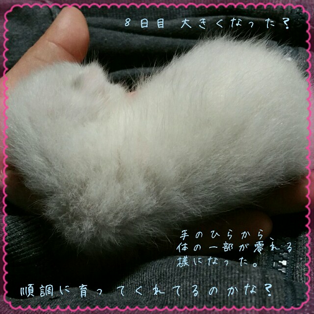 f:id:dohkeshi:20160526100948j:image f:id:dohkeshi:20160526100948j:image