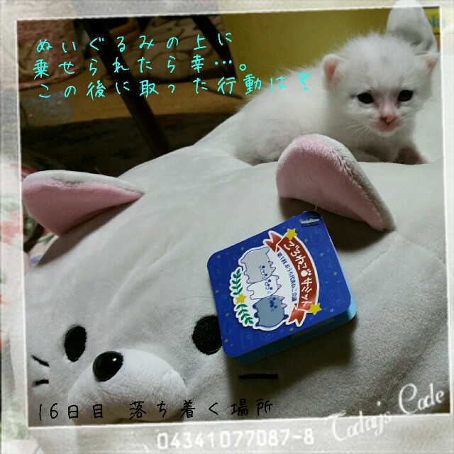 f:id:dohkeshi:20160527211950j:image f:id:dohkeshi:20160527211950j:image