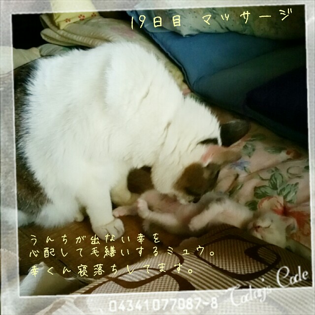 f:id:dohkeshi:20160530082449j:image f:id:dohkeshi:20160530082449j:image