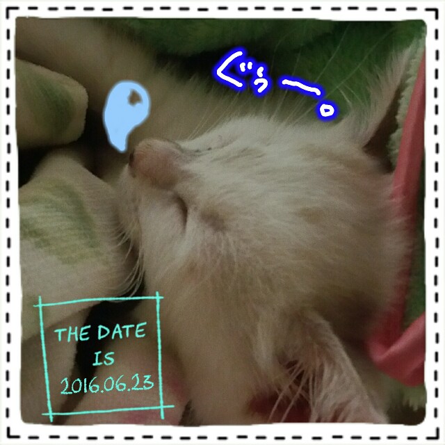 f:id:dohkeshi:20160623233312j:image f:id:dohkeshi:20160623233312j:image