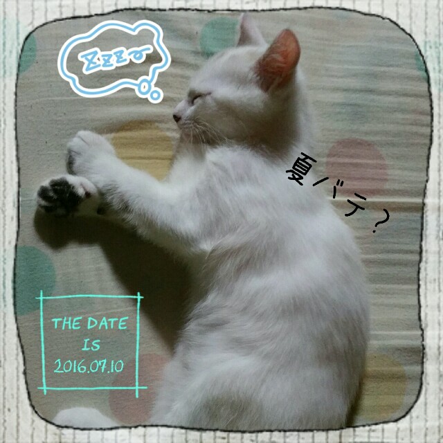 f:id:dohkeshi:20160711203120j:image f:id:dohkeshi:20160711203120j:image