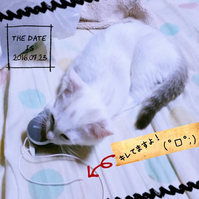 f:id:dohkeshi:20160723084526j:image f:id:dohkeshi:20160723084526j:image