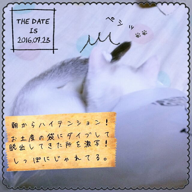 f:id:dohkeshi:20160723085051j:image f:id:dohkeshi:20160723085051j:image