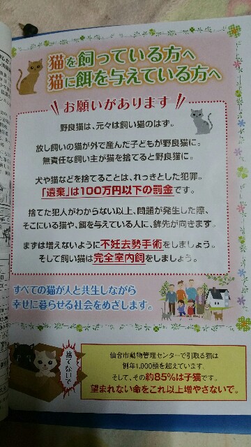 f:id:dohkeshi:20160724201458j:image f:id:dohkeshi:20160724201458j:image