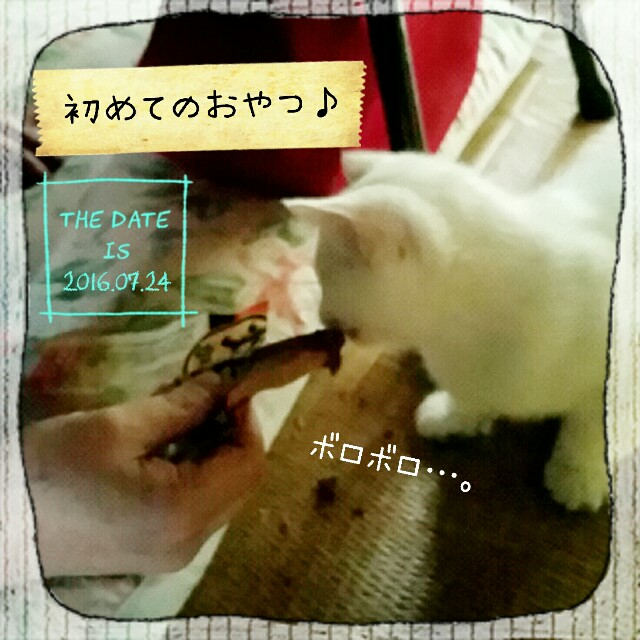 f:id:dohkeshi:20160725123625j:image f:id:dohkeshi:20160725123625j:image