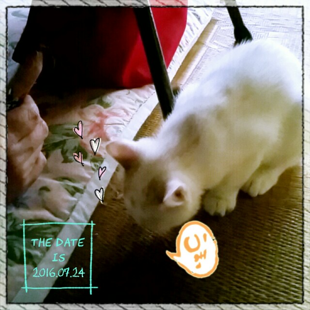 f:id:dohkeshi:20160725123640j:image f:id:dohkeshi:20160725123640j:image