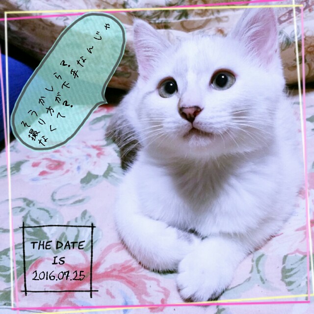 f:id:dohkeshi:20160726083031j:image f:id:dohkeshi:20160726083031j:image