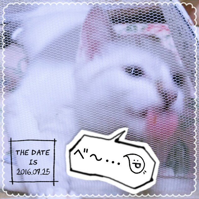 f:id:dohkeshi:20160726083641j:image f:id:dohkeshi:20160726083641j:image