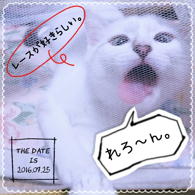 f:id:dohkeshi:20160726083736j:image f:id:dohkeshi:20160726083736j:image