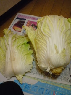 f:id:doksensei:20100209131723j:image f:id:doksensei:20100209131723j:image