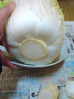 f:id:doksensei:20100209131924j:image f:id:doksensei:20100209131924j:image