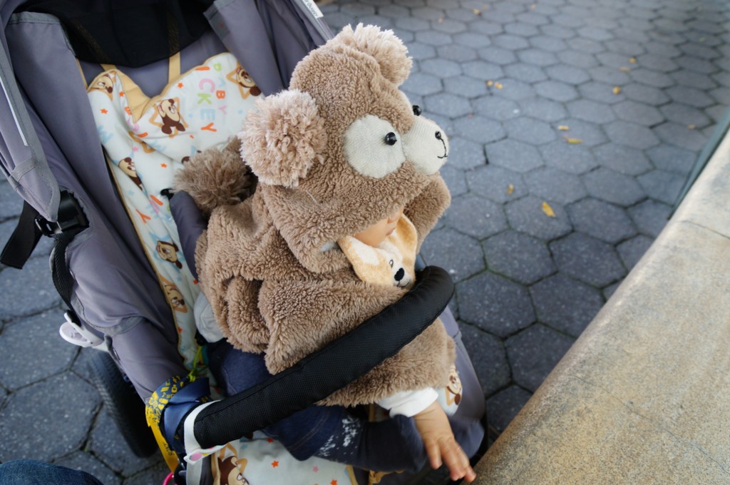 f:id:domomasarudesu:20151108113029j:plain