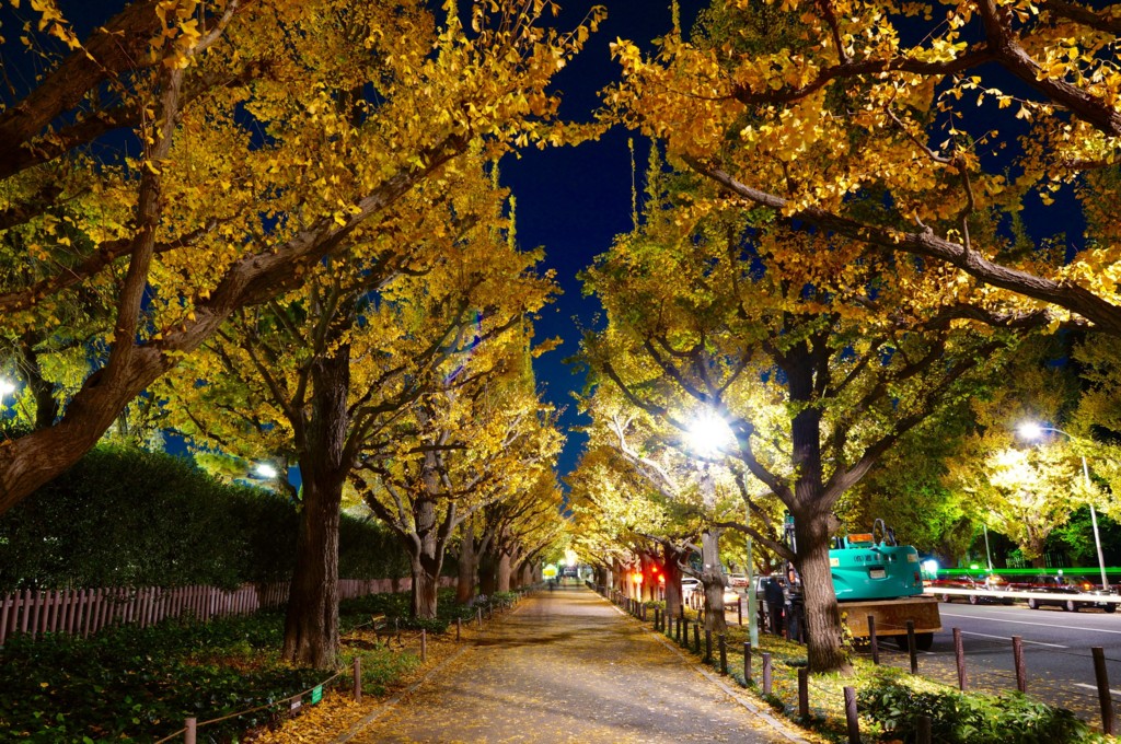 f:id:domomasarudesu:20151129101119j:plain