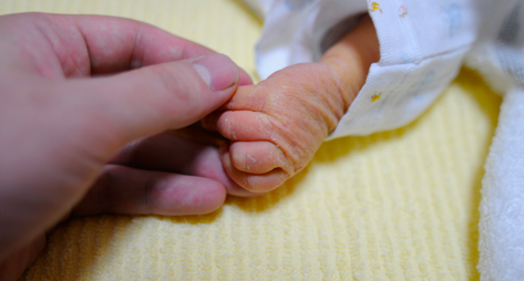 f:id:domu:20100814211224j:image f:id:domu:20100814211224j:image