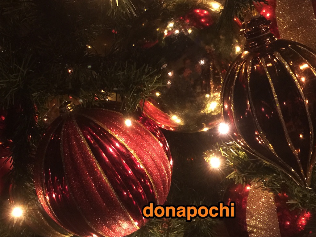 f:id:donapochi:20151117113111j:image f:id:donapochi:20151117113111j:image