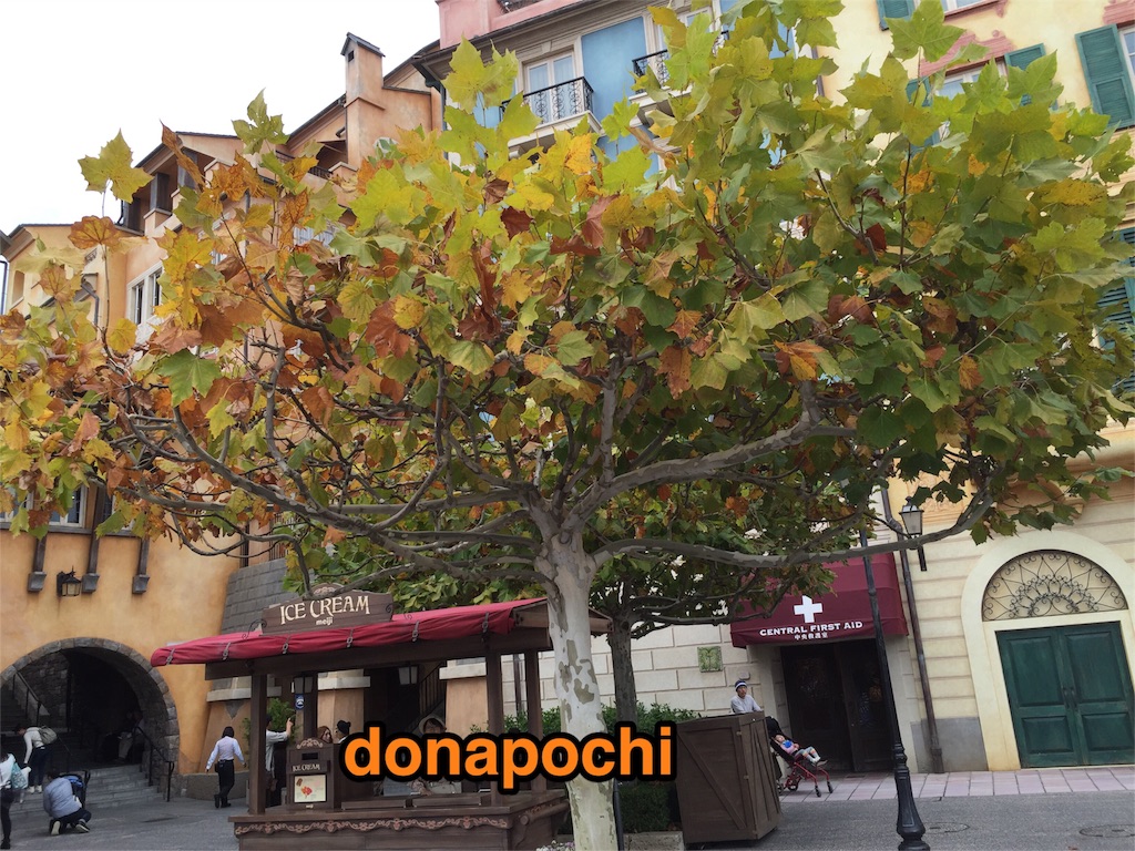 f:id:donapochi:20151118061743j:image f:id:donapochi:20151118061743j:image